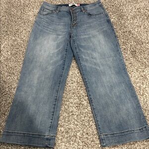 CAbi Light Blue Flare Jeans